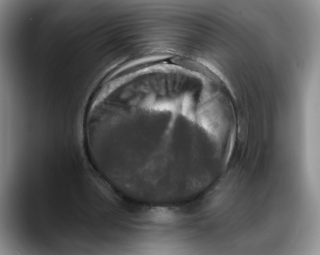 X0000088220390200705292118