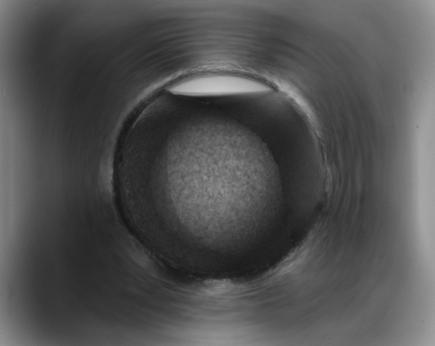 X0000088220391200705292118