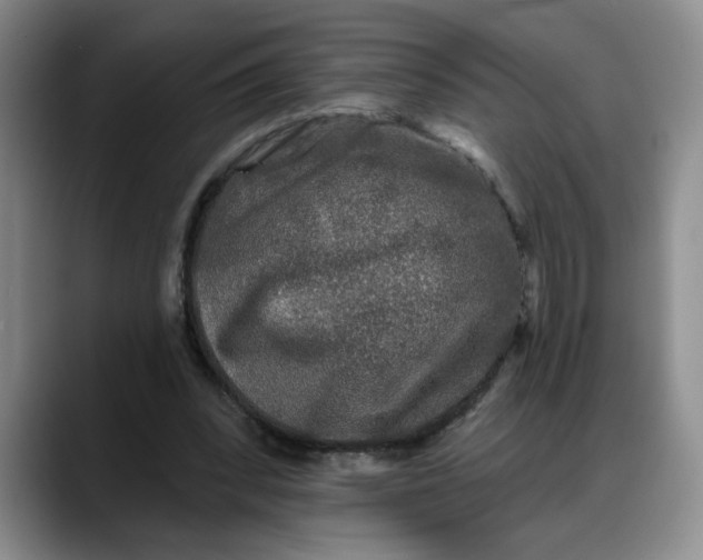 X0000088220392200705292118