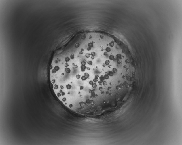 X0000088220393200705292118