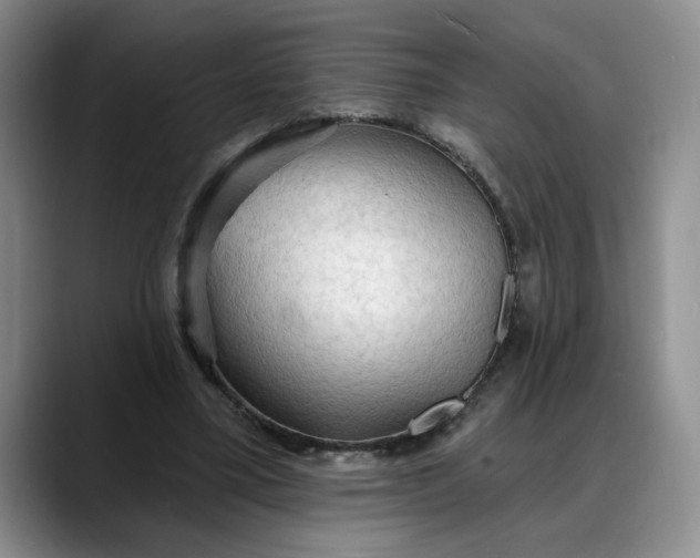 X0000088220395200705292118