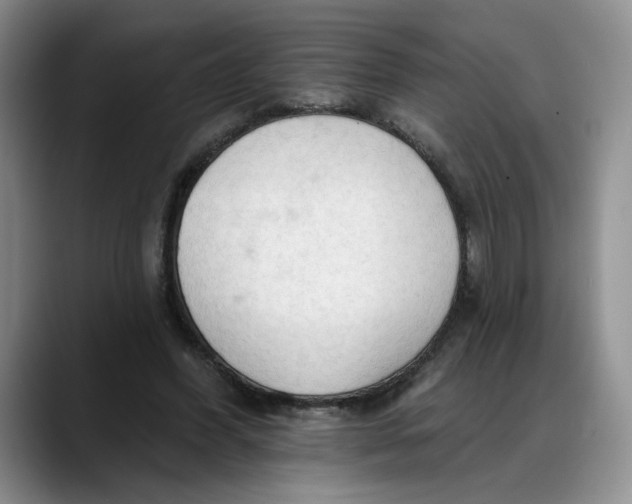 X0000088220396200705292118