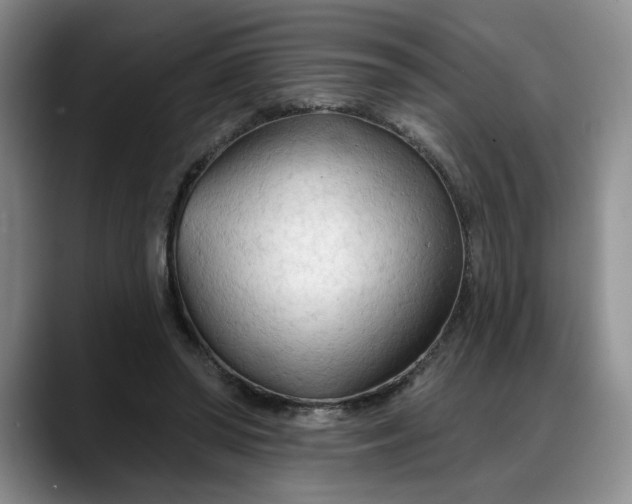 X0000088220398200705292118