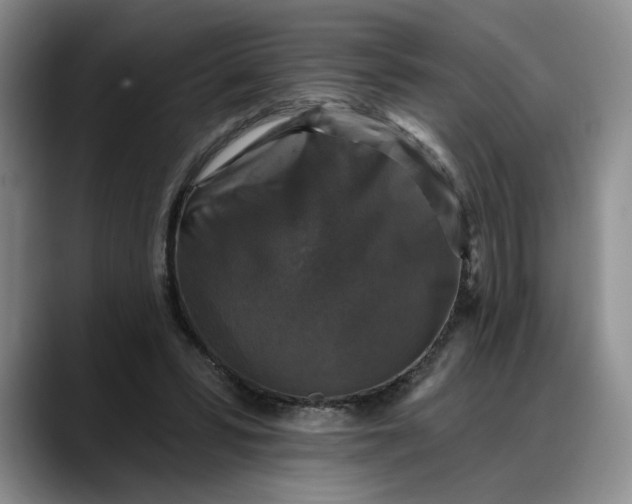 X0000088220399200705292118