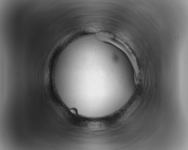 X0000088220400200705292118