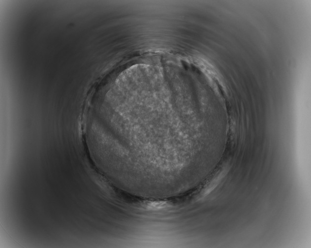 X0000088220401200705292118