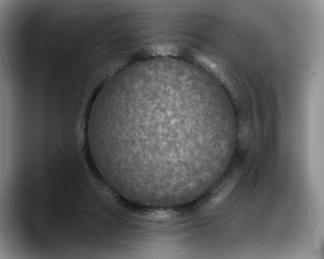 X0000088220402200705292118