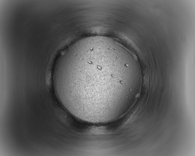 X0000088220403200705292118