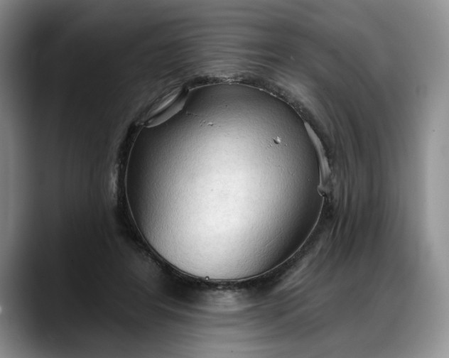 X0000088220404200705292118