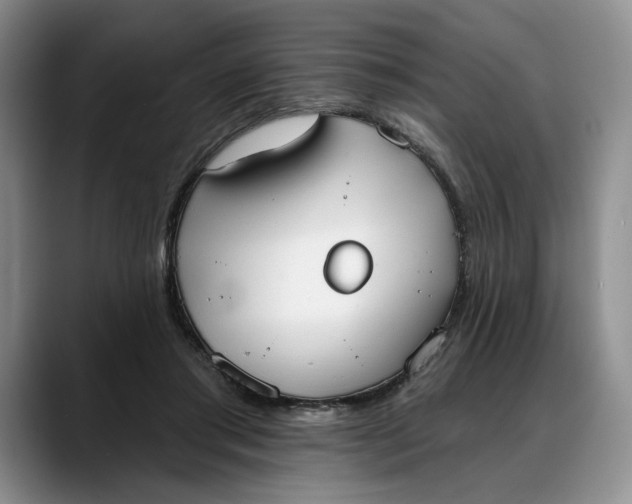 X0000088220405200705292118