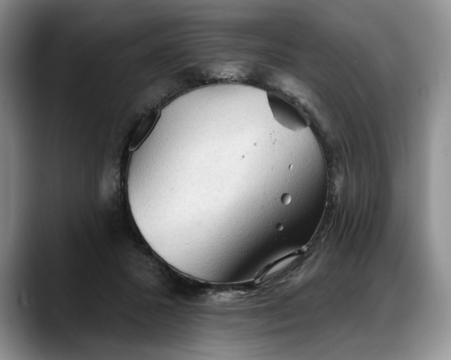 X0000088220407200705292118