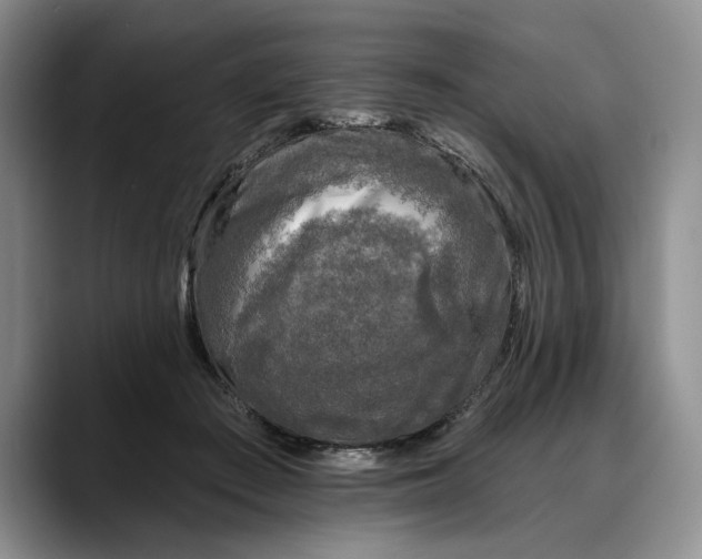 X0000088220409200705292118