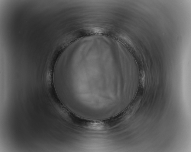 X0000088220410200705292118