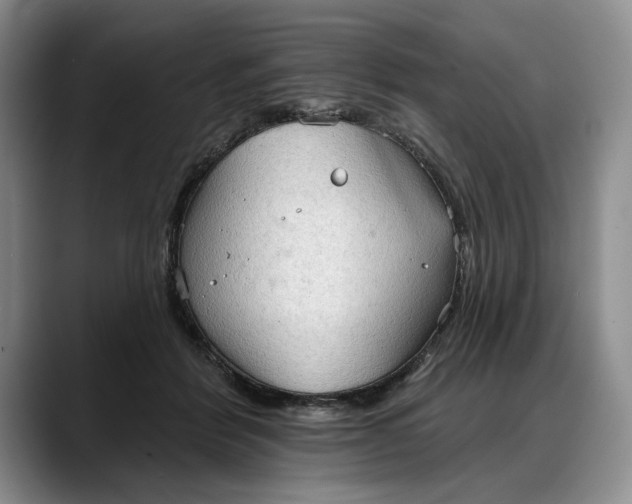 X0000088220412200705292117