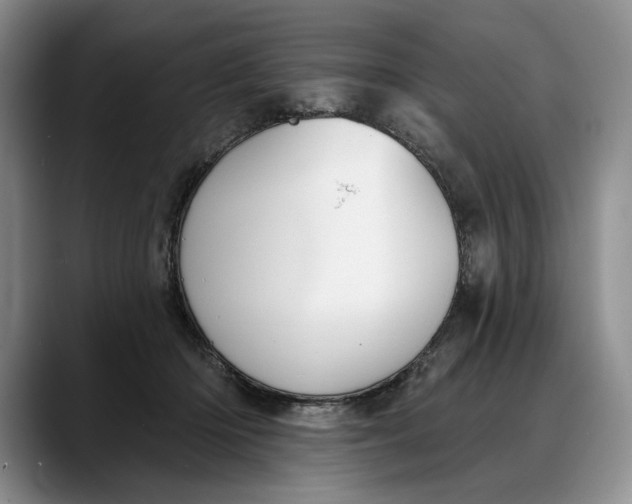 X0000088220414200705292117