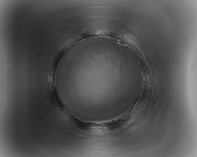 X0000088220415200705292117