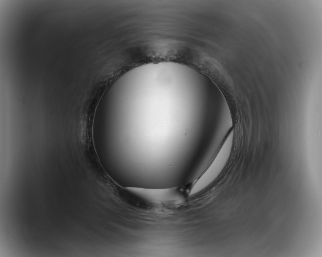 X0000088220416200705292117