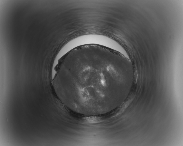 X0000088220417200705292117