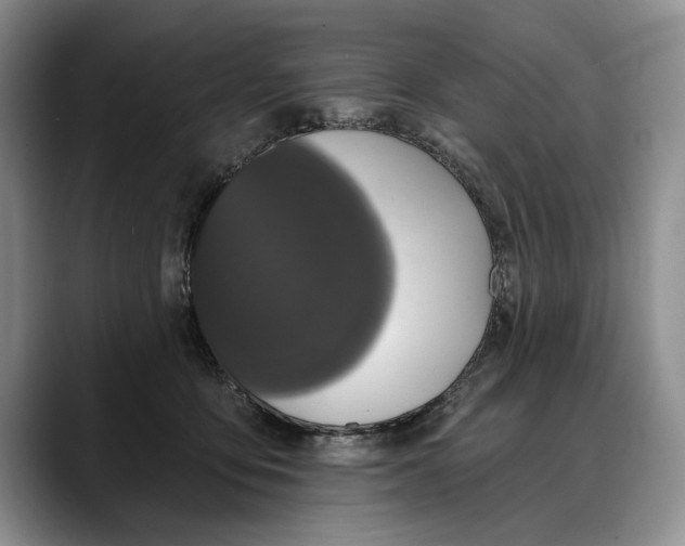 X0000088220419200705292117