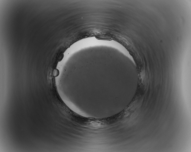 X0000088220423200705292117