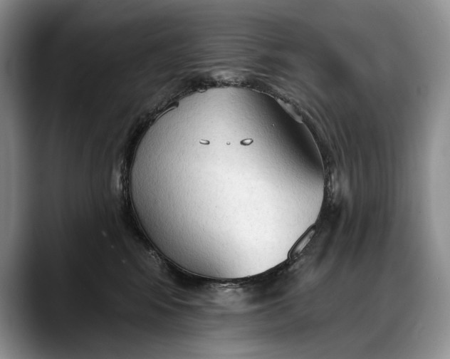 X0000088220424200705292117