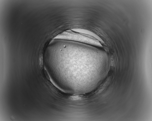 X0000088220425200705292117