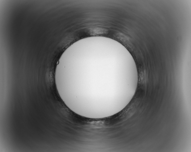 X0000088220426200705292117