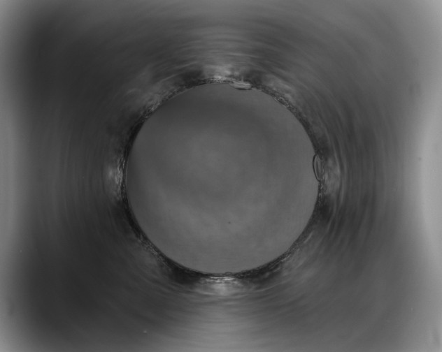 X0000088220427200705292117