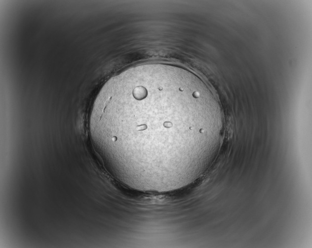 X0000088220428200705292117