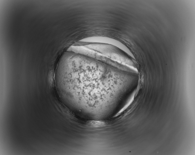 X0000088220429200705292117