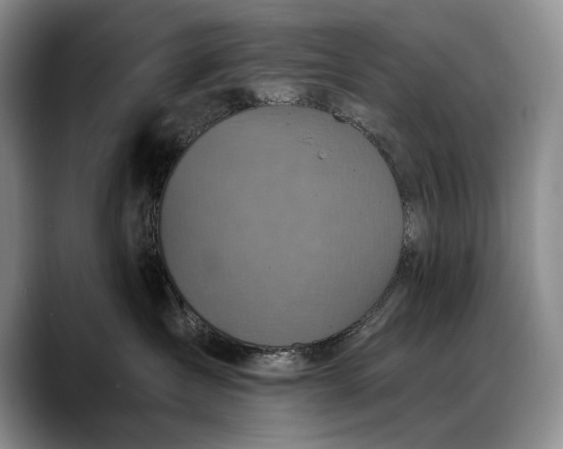 X0000088220431200705292117