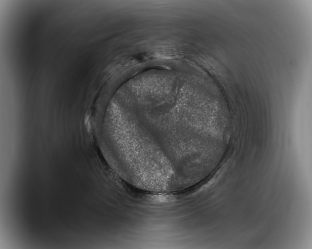 X0000088220432200705292117