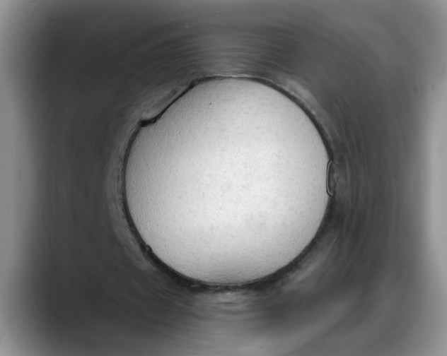 X0000088220433200705292117