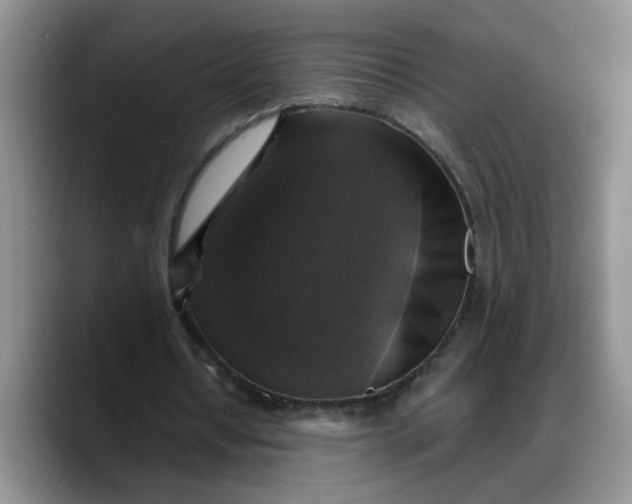 X0000088220434200705292117