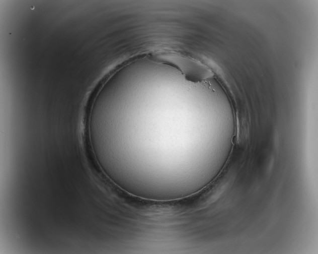 X0000088220435200705292117