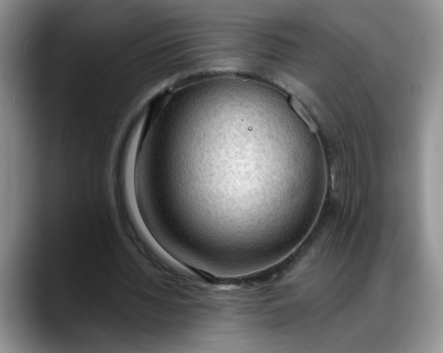 X0000088220436200705292117