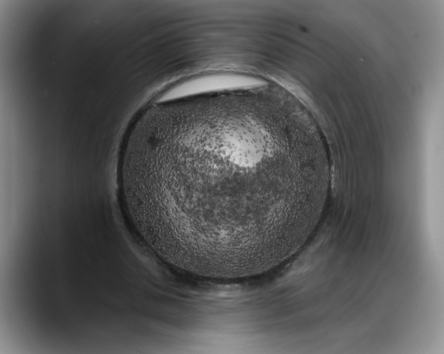 X0000088220438200705292117