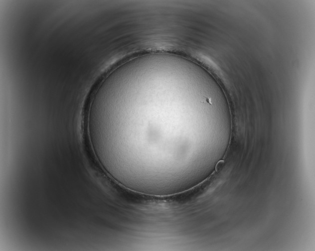 X0000088220439200705292117