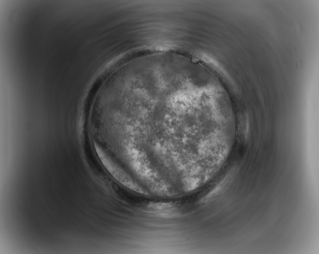 X0000088220440200705292117