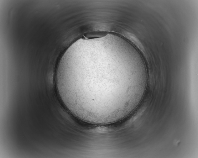 X0000088220441200705292117