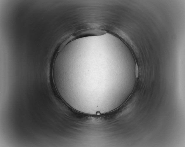 X0000088220442200705292117