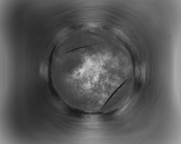 X0000088220444200705292117