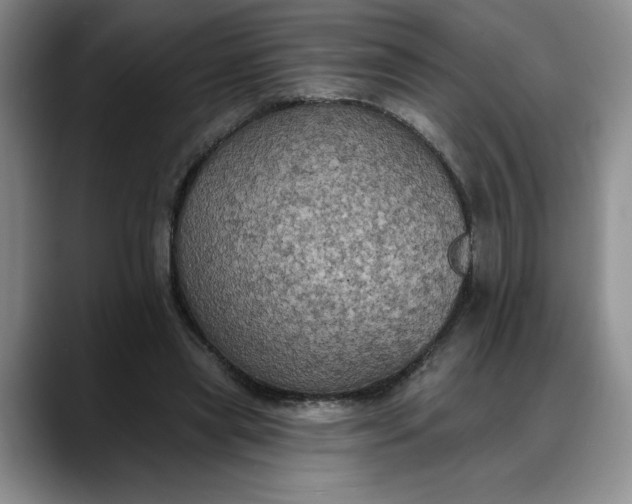 X0000088220445200705292117