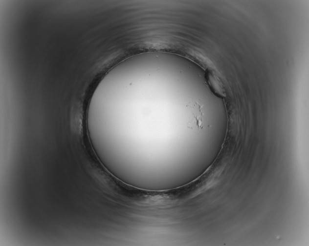 X0000088220446200705292117