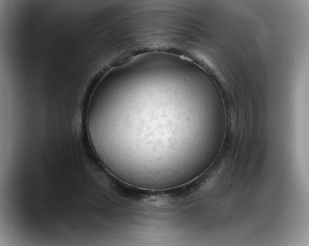 X0000088220447200705292117