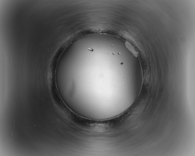 X0000088220448200705292117