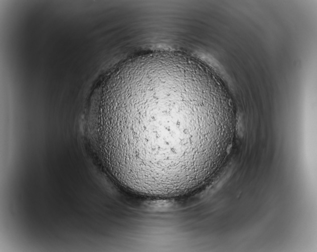 X0000088220449200705292117