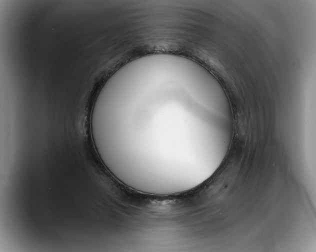 X0000088220450200705292117