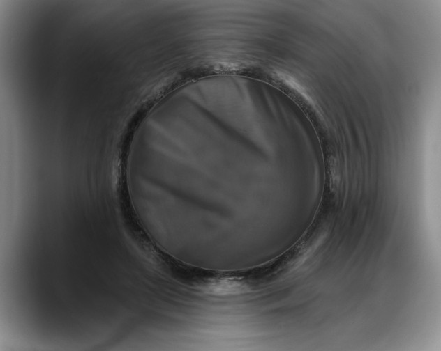 X0000088220451200705292117