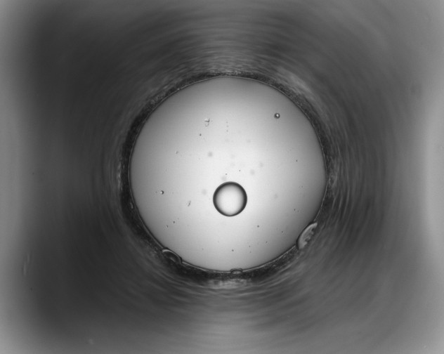 X0000088220452200705292117